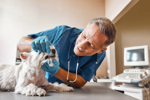 Best After-Hours Emergency Dentist in Leetsdale, PA